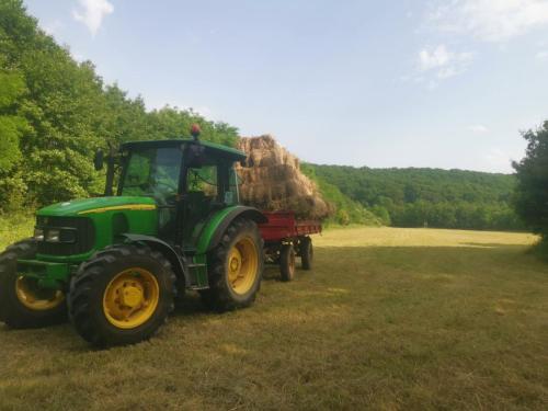 IMG-1b249e97aa8b100293145c023a21a111-V