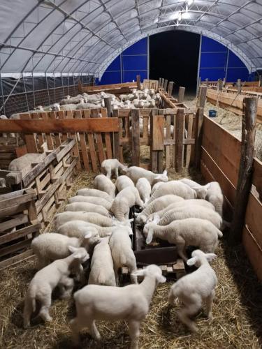 IMG-35d4f8defead188b82d9fc043740bd3a-V