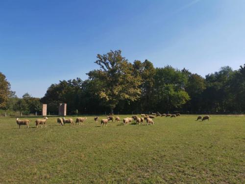 IMG-4346dca2aa2c8f4b92dbf8cba6b5cee8-V