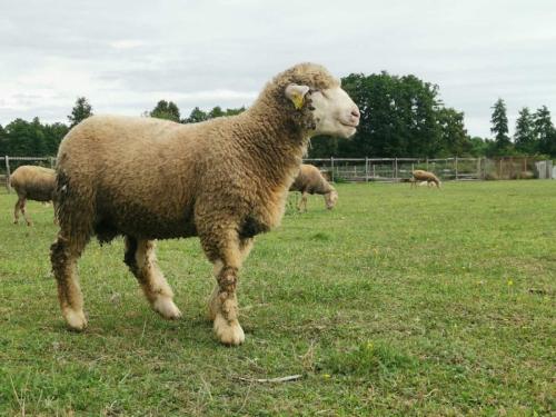 IMG-4cbfe471310cd2ca167178b8270d53ad-V