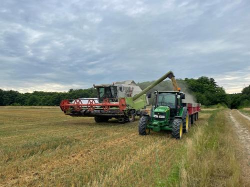 IMG-524b9dae9e4bcbff3b23c0206c9e3c95-V