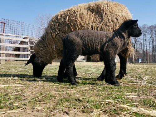 IMG-733a8c9539b5b70fbf56748953fa9b37-V