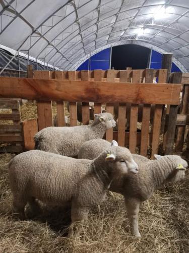 IMG-755655faefca22fa5cde4d9cfff2752b-V