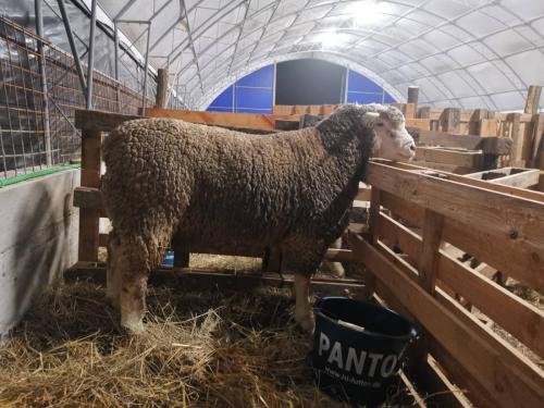 IMG-89f6b7029ca2abb0b790872723c65973-V