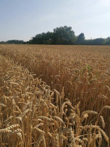 IMG-95f55c0ce1d6aecb503d059481acaad3-V