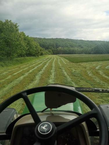 IMG-a43170a3e0d4b19e0452649e41bcec3e-V