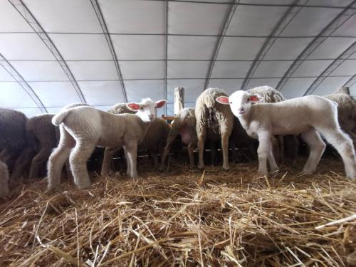 IMG-ad961dfa5bafcc2f27749a795c6265ad-V