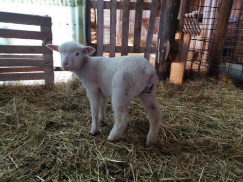 IMG-d22594a5f0a4c63f5811e67434a037fb-V