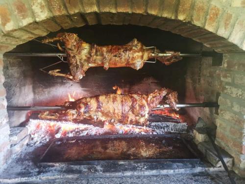 IMG-fd0a7f84f7f1b4b303b010a27eddcdc6-V